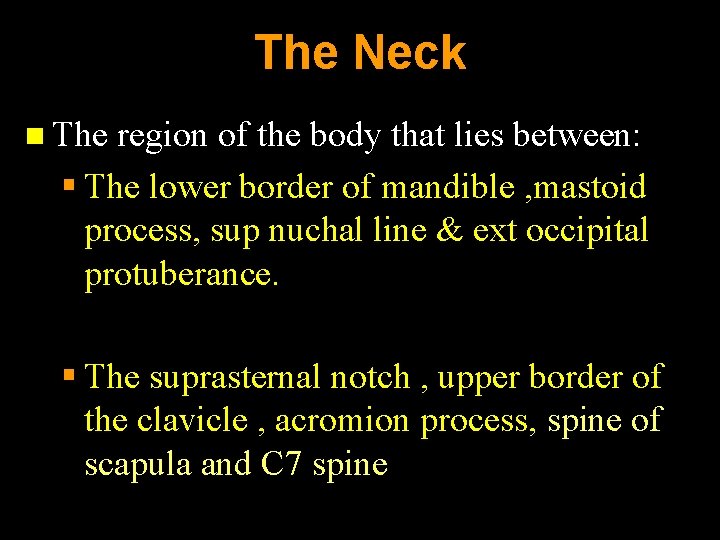 The Neck n The region of the body that lies between: § The lower