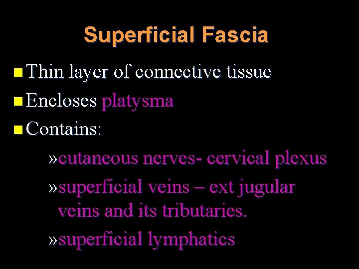 Superficial Fascia n Thin layer of connective tissue n Encloses platysma n Contains: »