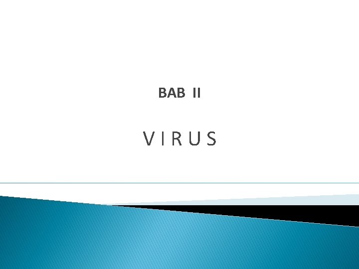BAB II VIRUS 