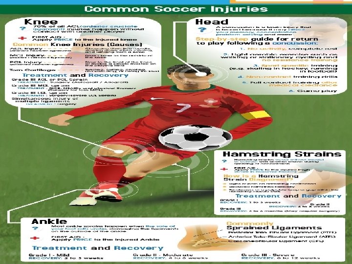 Sports Injury 