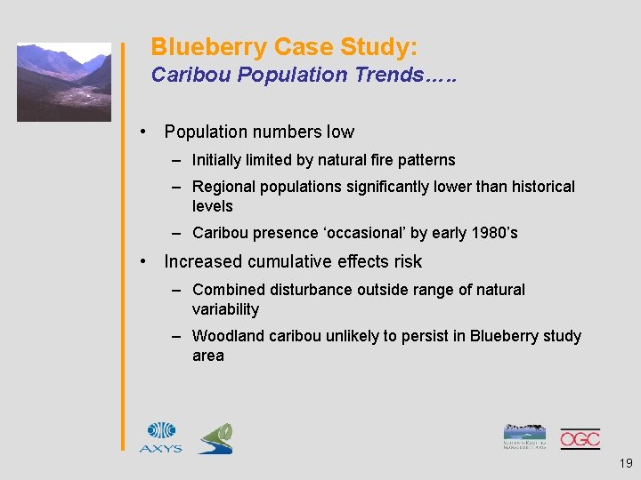 Blueberry Case Study: Caribou Population Trends…. . • Population numbers low – Initially limited