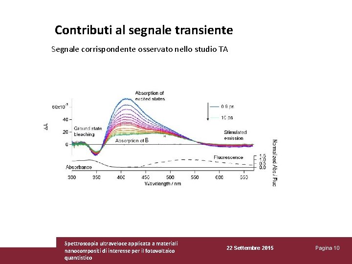 Contributi al segnale transiente Segnale corrispondente osservato nello studio TA Spettroscopia ultraveloce applicata a