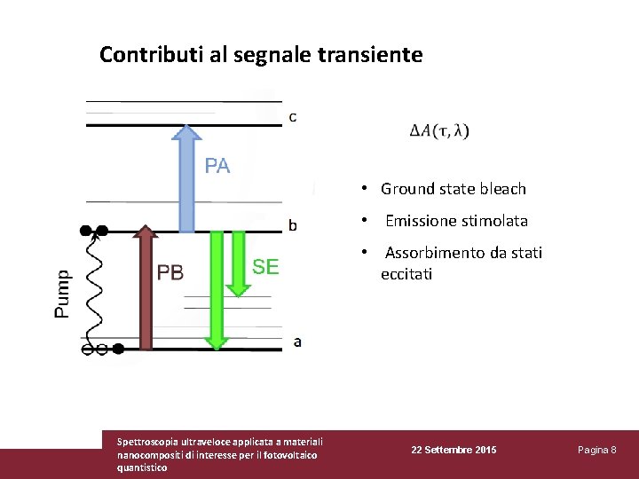 Contributi al segnale transiente • Ground state bleach • Emissione stimolata • Assorbimento da