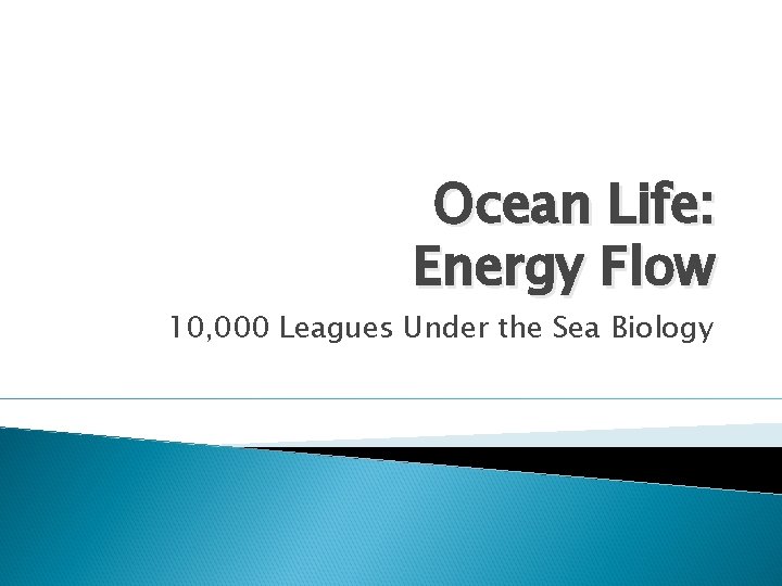 Ocean Life: Energy Flow 10, 000 Leagues Under the Sea Biology Ocean Life: Energy Flow 10, 000 Leagues Under the Sea Biology