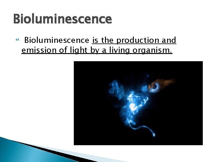 Bioluminescence is the production and emission of light by a living organism. Bioluminescence is the production and emission of light by a living organism.