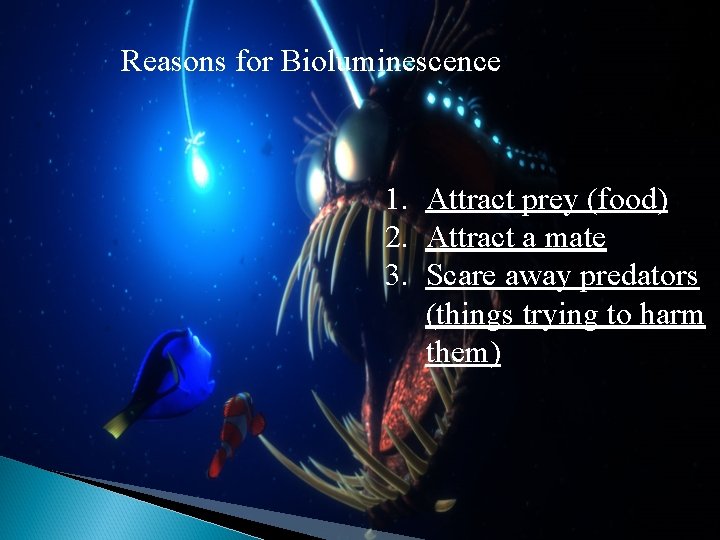 Reasons for Bioluminescence 1. Attract prey (food) 2. Attract a mate 3. Scare away Reasons for Bioluminescence 1. Attract prey (food) 2. Attract a mate 3. Scare away