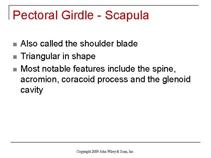 Pectoral Girdle - Scapula n n n Also called the shoulder blade Triangular in