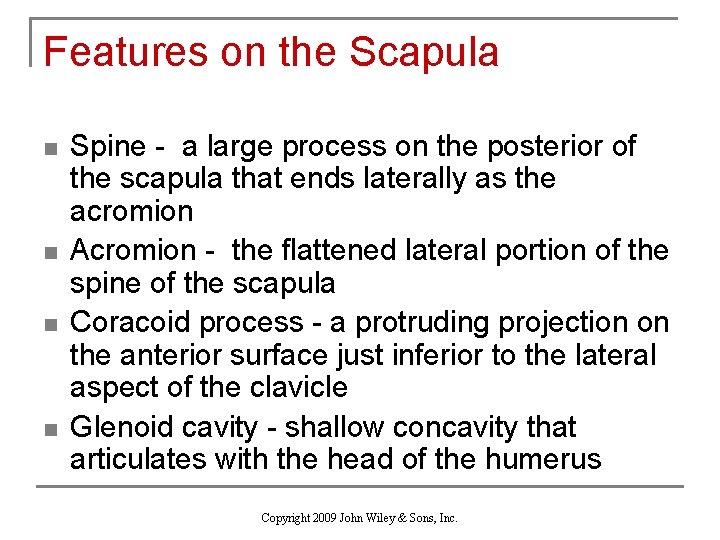 Features on the Scapula n n Spine - a large process on the posterior