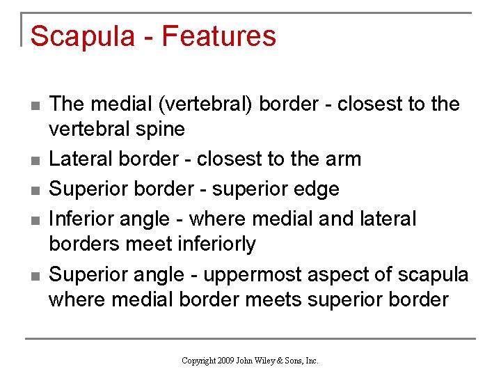 Scapula - Features n n n The medial (vertebral) border - closest to the