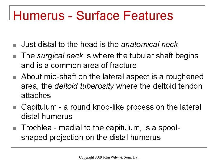 Humerus - Surface Features n n n Just distal to the head is the