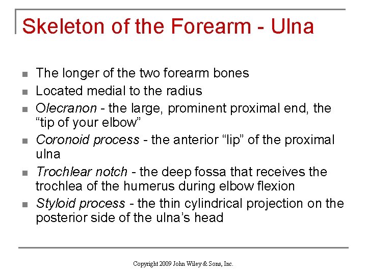 Skeleton of the Forearm - Ulna n n n The longer of the two