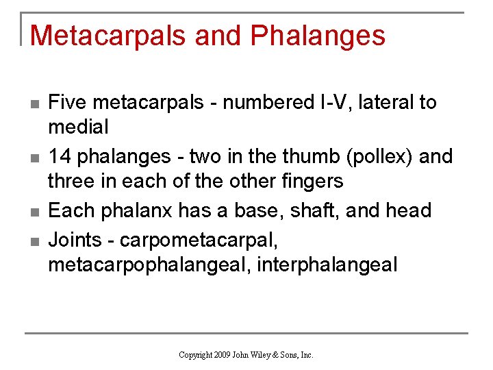 Metacarpals and Phalanges n n Five metacarpals - numbered I-V, lateral to medial 14