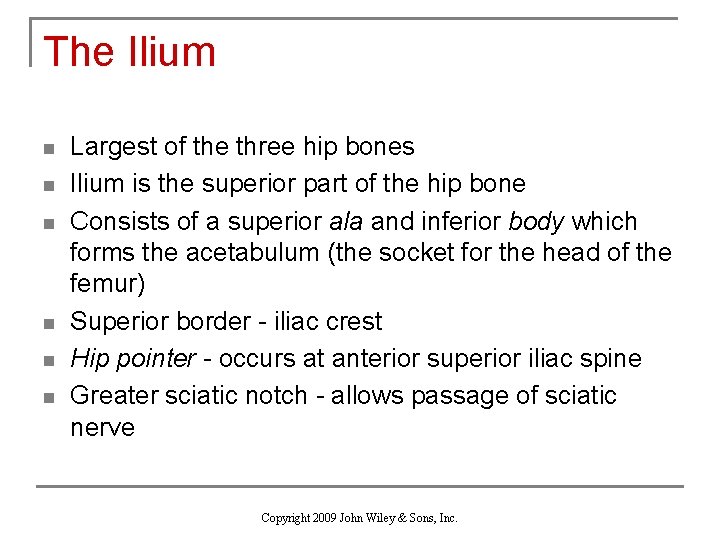 The Ilium n n n Largest of the three hip bones Ilium is the