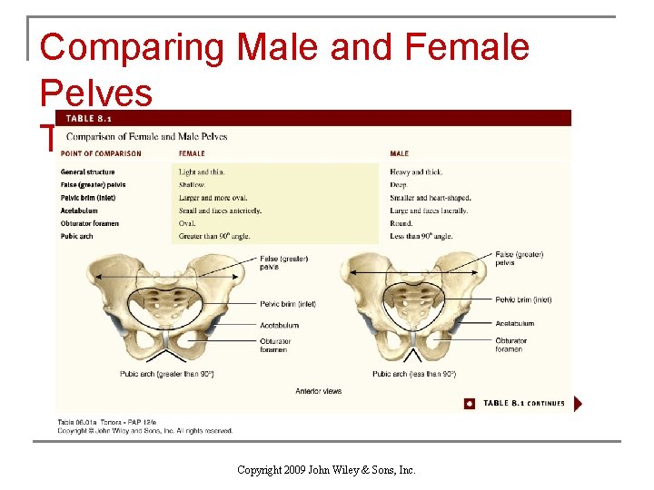 Comparing Male and Female Pelves Table 8. 1 Copyright 2009 John Wiley & Sons,