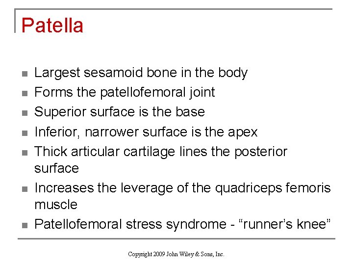 Patella n n n n Largest sesamoid bone in the body Forms the patellofemoral