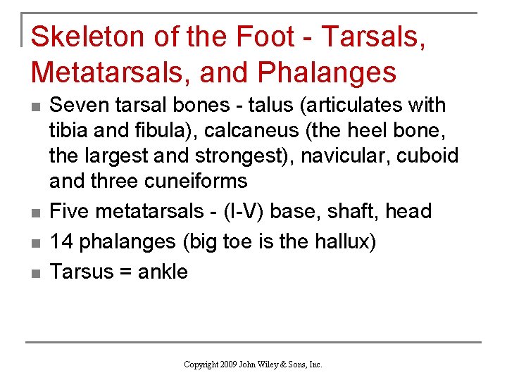 Skeleton of the Foot - Tarsals, Metatarsals, and Phalanges n n Seven tarsal bones