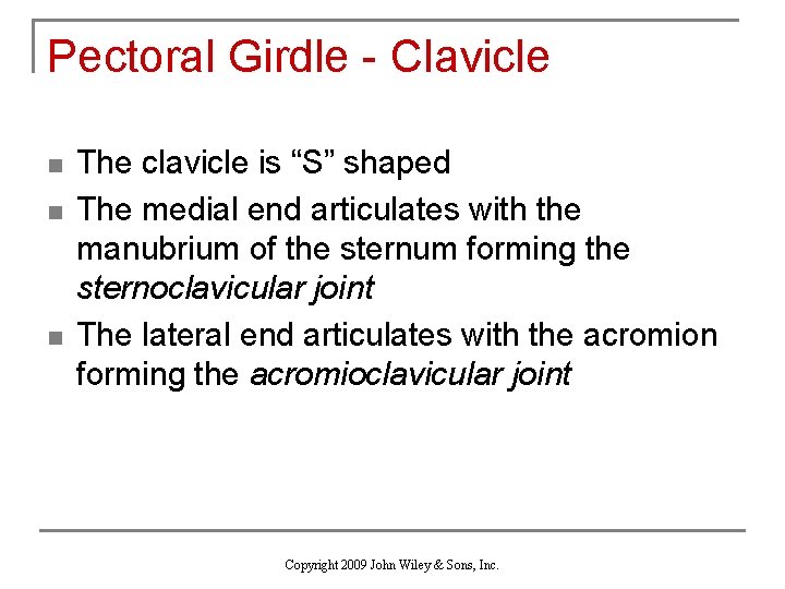 Pectoral Girdle - Clavicle n n n The clavicle is “S” shaped The medial