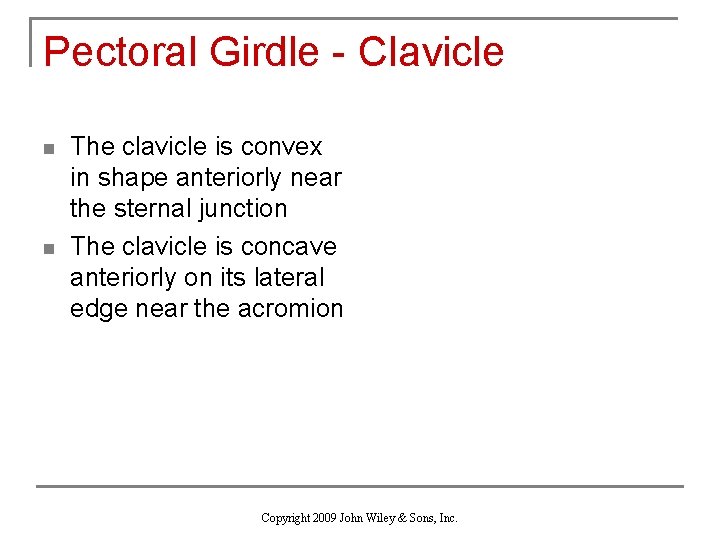 Pectoral Girdle - Clavicle n n The clavicle is convex in shape anteriorly near