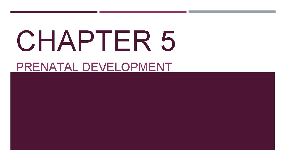 CHAPTER 5 PRENATAL DEVELOPMENT CONCEPTION About one a