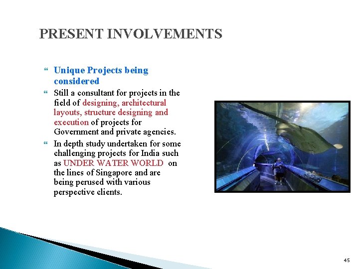 PRESENT INVOLVEMENTS Unique Projects being considered Still a consultant for projects in the field