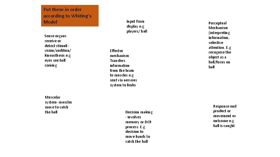 Put these in order according to Whiting’s Model Sense organs receive or detect stimuli