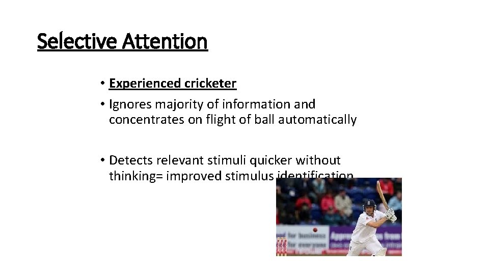 Selective Attention • Experienced cricketer • Ignores majority of information and concentrates on flight