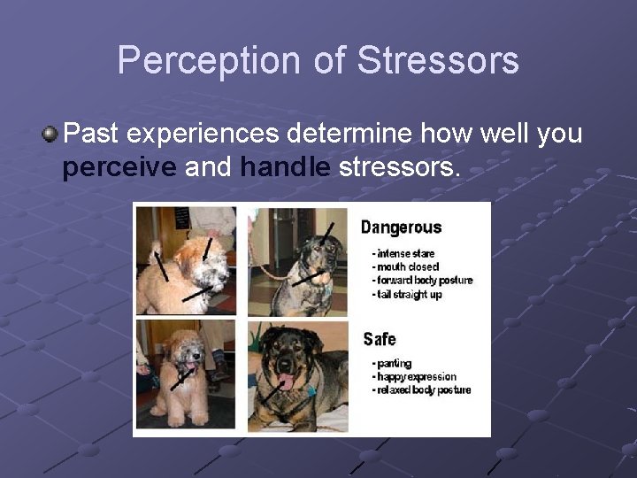 Perception of Stressors Past experiences determine how well you perceive and handle stressors. 