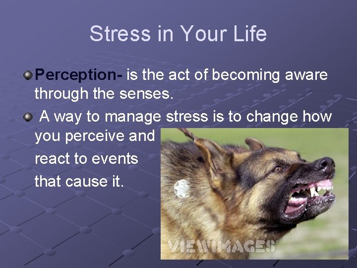 Stress in Your Life Perception- is the act of becoming aware through the senses.