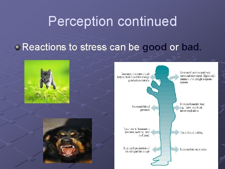 Perception continued Reactions to stress can be good or bad. 