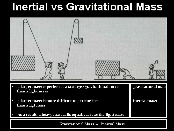 Inertial vs Gravitational Mass • a larger mass experiences a stronger gravitational force than