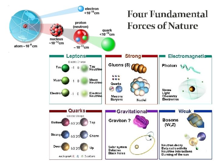 Four Fundamental Forces of Nature 