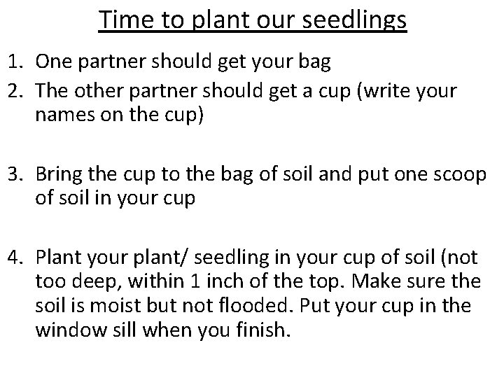 Time to plant our seedlings 1. One partner should get your bag 2. The Time to plant our seedlings 1. One partner should get your bag 2. The