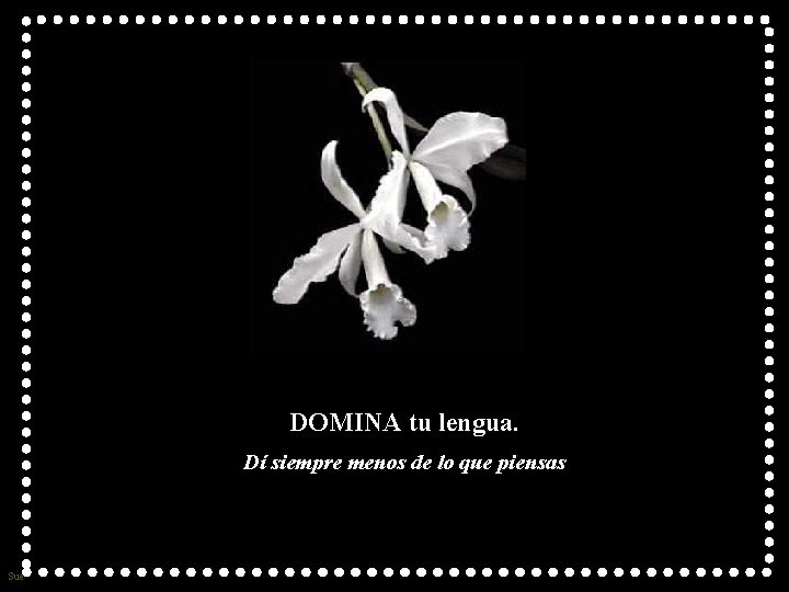DOMINA tu lengua. Dí siempre menos de lo que piensas Sue 
