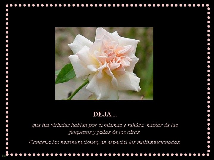 DEJA. . . que tus virtudes hablen por sí mismas y rehúsa hablar de