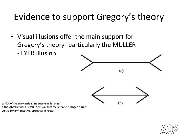 Evidence to support Gregory’s theory • Visual illusions offer the main support for Gregory’s