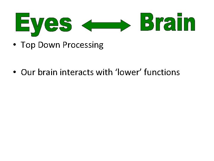  • Top Down Processing • Our brain interacts with ‘lower’ functions 