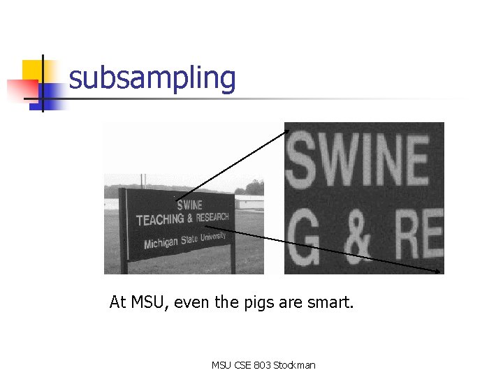 subsampling At MSU, even the pigs are smart. MSU CSE 803 Stockman subsampling At MSU, even the pigs are smart. MSU CSE 803 Stockman