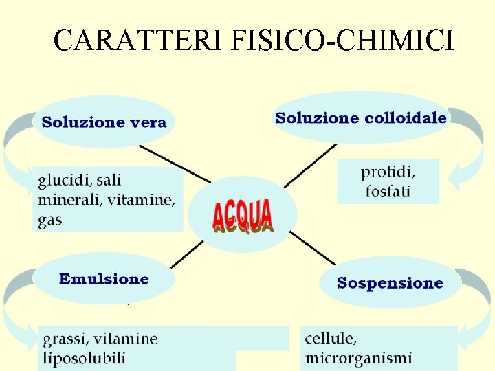 CARATTERI FISICO-CHIMICI 