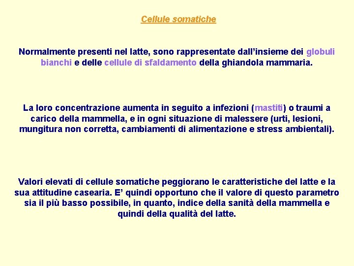 Cellule somatiche Normalmente presenti nel latte, sono rappresentate dall’insieme dei globuli bianchi e delle