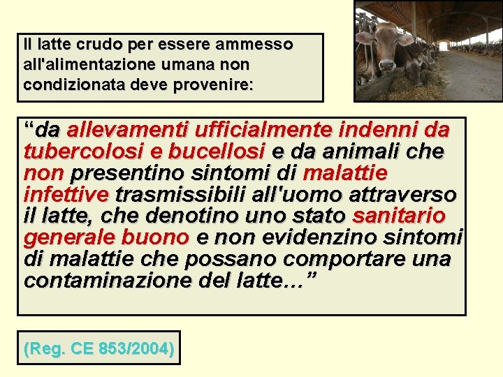 Il latte crudo per essere ammesso all'alimentazione umana non condizionata deve provenire: “da allevamenti