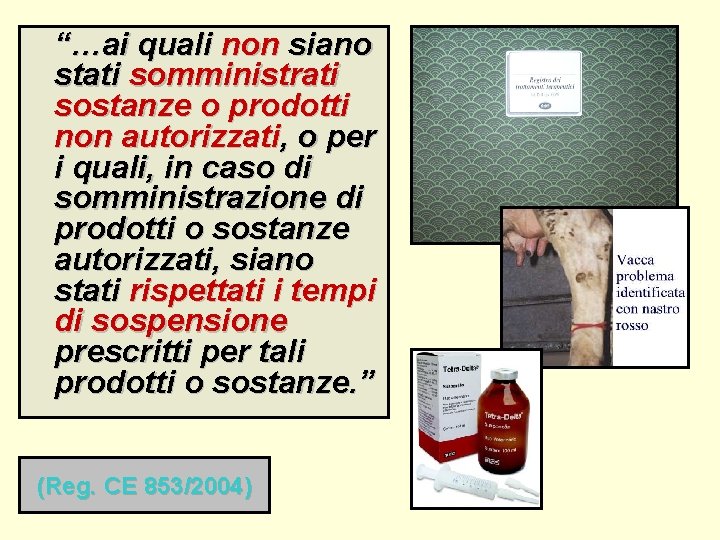 “…ai quali non siano stati somministrati sostanze o prodotti non autorizzati, o per i