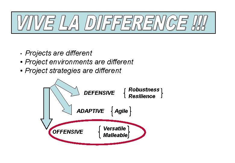 Projects are different • Project environments are different • Project strategies are different •