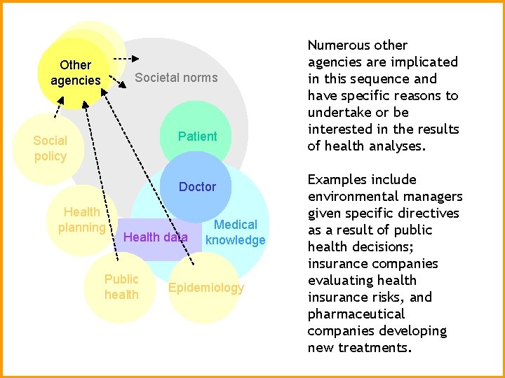 Other agencies Societal norms Patient Social policy Doctor Health planning Health data Public health