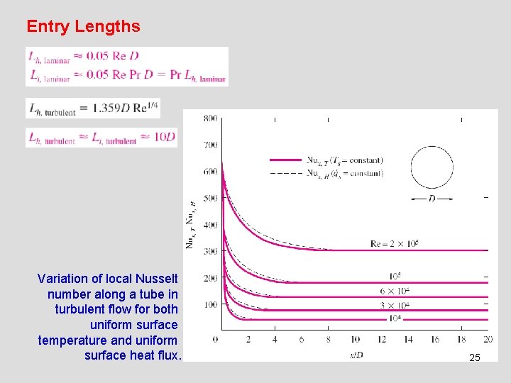 Entry Lengths Variation of local Nusselt number along a tube in turbulent flow for