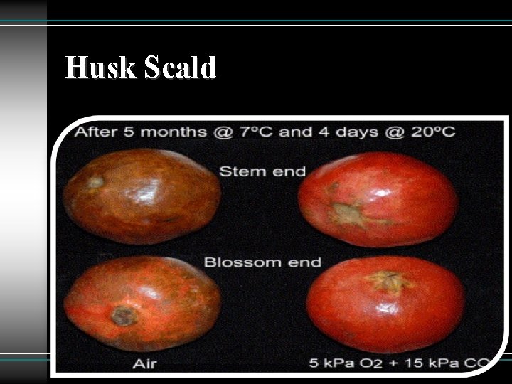 Husk Scald 