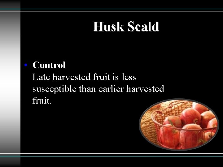 Husk Scald • Control Late harvested fruit is less susceptible than earlier harvested fruit.