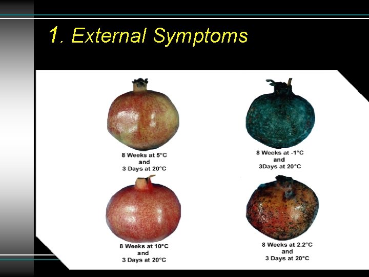 1. External Symptoms 
