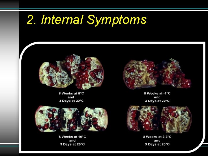 2. Internal Symptoms 