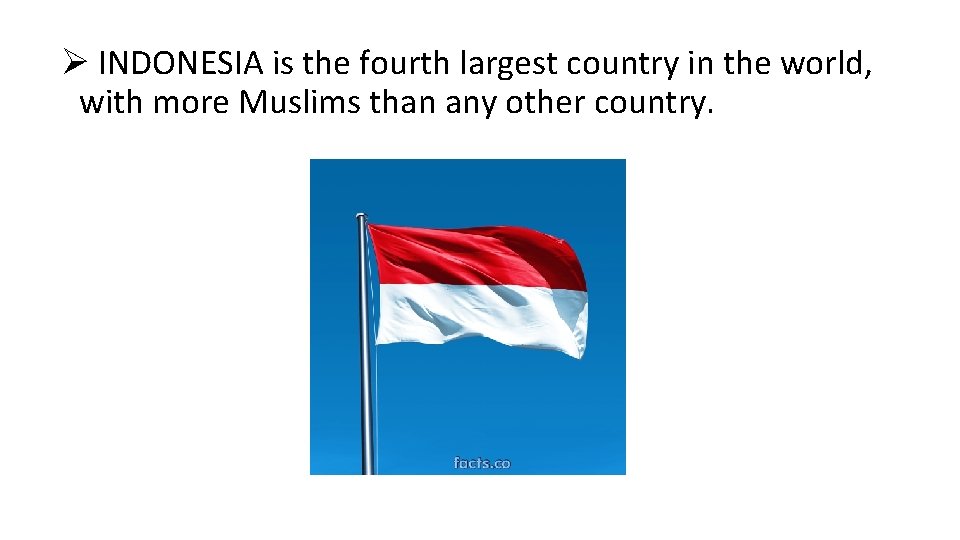 Ø INDONESIA is the fourth largest country in the world, with more Muslims than