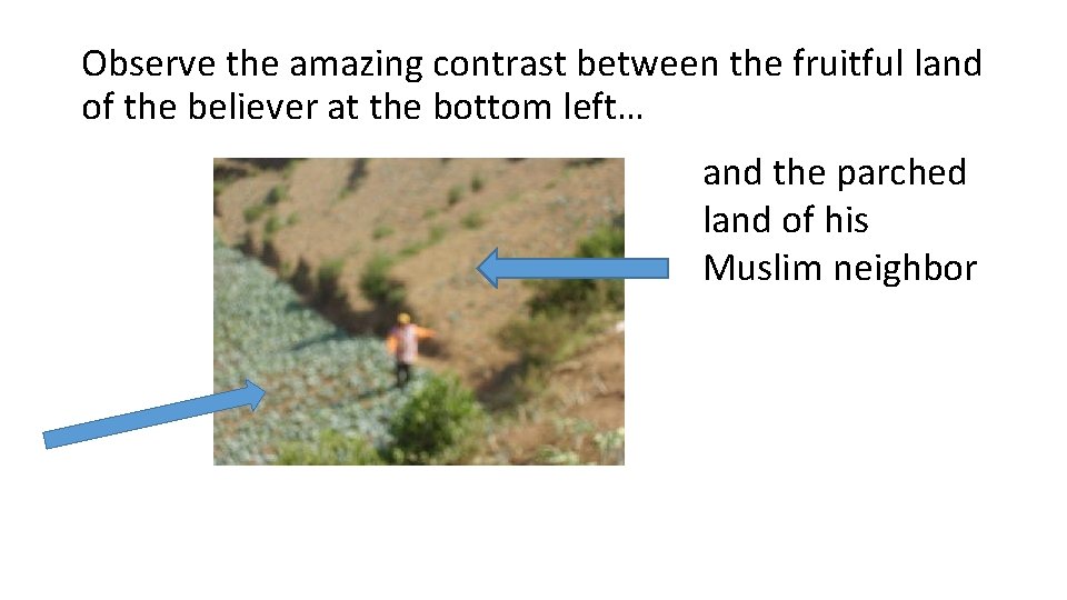 Observe the amazing contrast between the fruitful land of the believer at the bottom